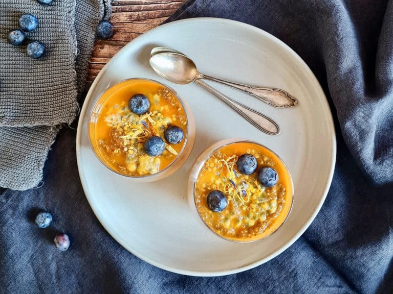 Fruchtiger Chiapudding