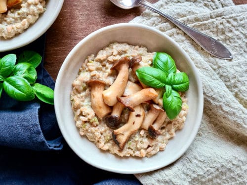 Hummus-Risoni mit Kräuterseitlingen