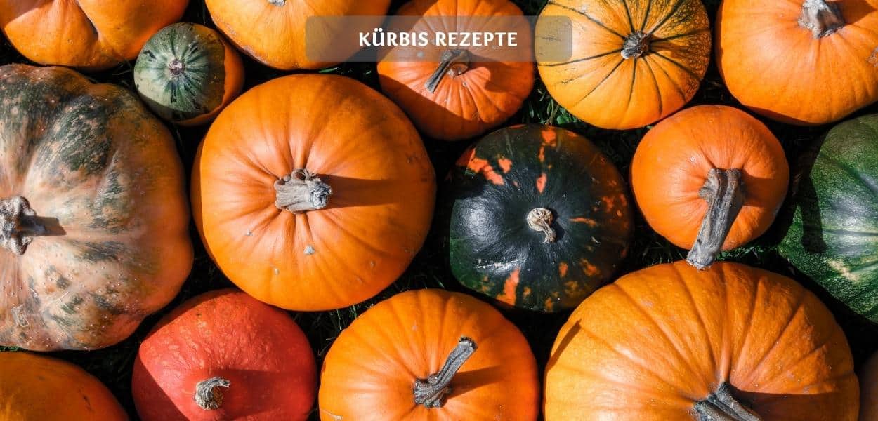 Kürbis Rezepte – Leckere Rezepte mit Kürbis